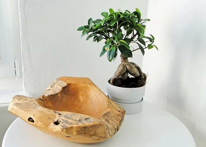 Ueber Dem Kattsund Lägenhet Eckernförde